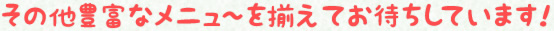 その他豊富なメニューを揃えてお待ちしています！