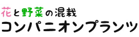 花と野菜の根菜　コンパニオンプランツ