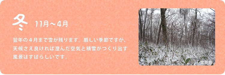 冬／11月～4月／翌年の４月まで雪が残ります。厳しい季節ですが、天候さえ良ければ澄んだ空気と積雪がつくり出す風景はすばらしいです。